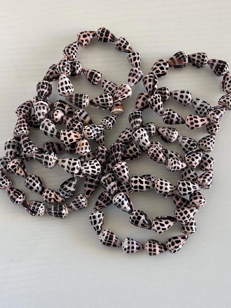Peut inclure: Gros plan de plusieurs brins de coquillages, chacun avec un motif distinctif de taches noires sur un fond blanc et rose. Les coquillages sont enfil&eacute;s ensemble, formant des formes circulaires. L'image est prise d'en haut.