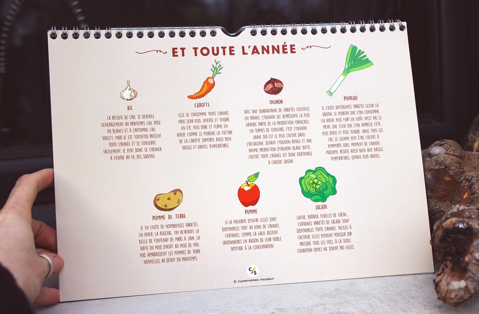 Calendrier Perpetuel Des Fruits Legumes De Saison Etsy New Zealand