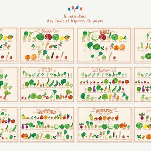 Calendrier perpétuel des fruits et légumes de saison image 4