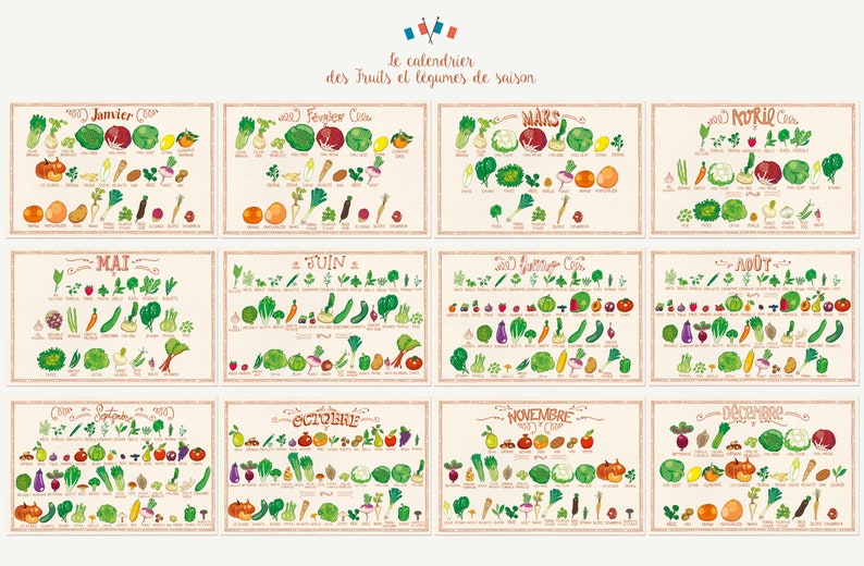 Calendrier perpétuel des fruits et légumes de saison image 4