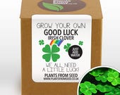 CHRISTMAS SALE - Grow Your Own Lucky Clover Plant Kit