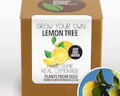 SALE!!! - Grow Your Own Lemon Tree Plant Kit