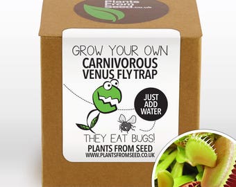 Grow Your Own Venus Fly Trap Plant Kit