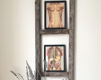 Vintage Framed Anatomy Prints Anatomical Human Body Muscular System Internal Organs Vintage Medical Decor early 1900s Apothecary