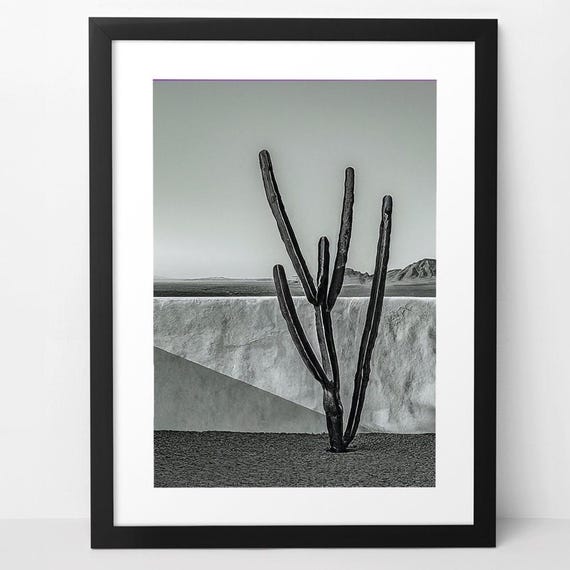Black and White Desert Print Download Desert Wall Art Download Cactus Minimalist Aesthetic Print Download Minimalist Decor Monochrome Print