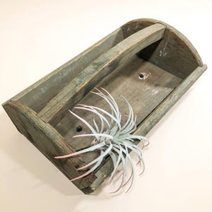 May include: A weathered, rectangular wooden caddy with a handle, painted in a muted green-gray hue. The caddy holds a decorative air plant with pale green and pink leaves. The design is rustic and suitable for home decor.