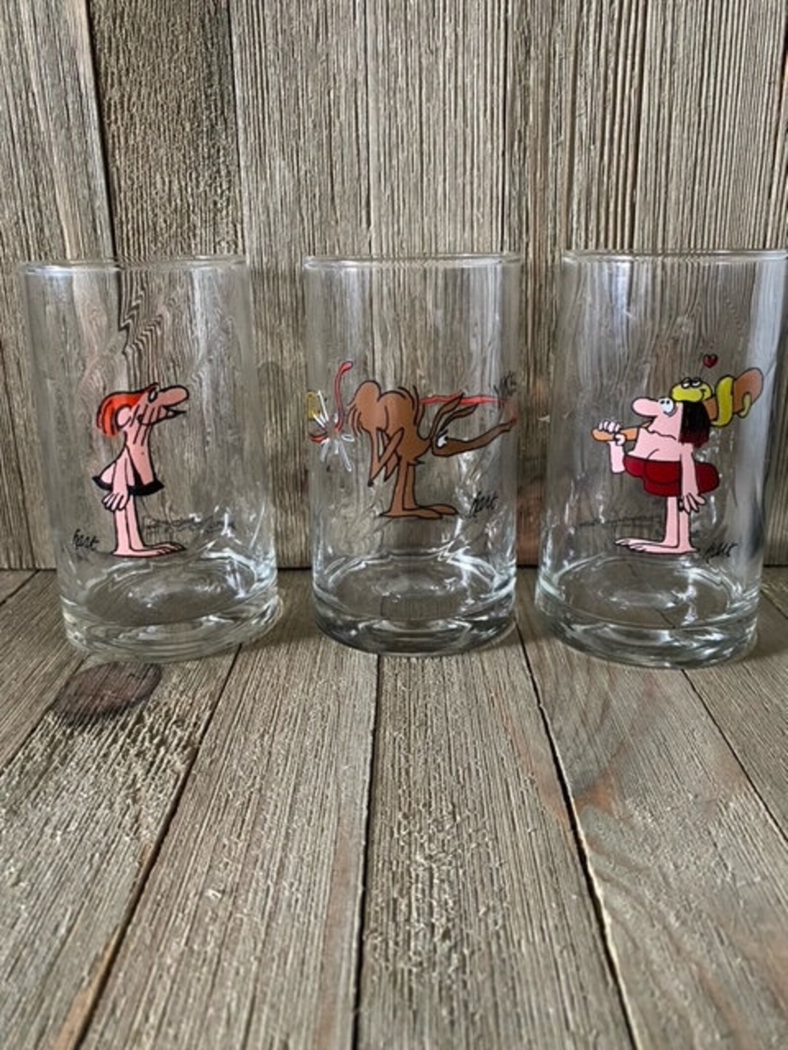 Vintage 1981 Arby's B.C. Ice Age Collector Series Promo Glasses - Set ...