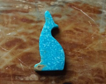 Blue Turquoise Coyote Medium Cabochon/ backed/ Sonora, Mexico