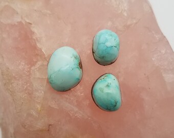 Light Blue Carico Lake Freeform Oval Cabochons / Backed