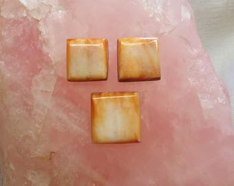 Light Orange Spiny Oyster Shell Cabochon Square Set/ backed
