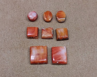 45% OFF Orange Spiny Oyster Shell Cabochon Set/ backed/ seconds/ square/circle/rectangle