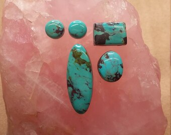 Blue Gem Turquoise Ovals, Circles, Rectangle, Cabochons/ backed set of 5