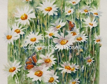 Butterflies and Daisies, Watercolor giclée, white flowers, monarch butterflies