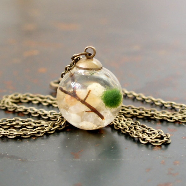 Live Marimo Moss Ball Terrarium Necklace