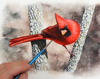 ORIGINAL Northern Cardinal Watercolor Painting, Exquisite Watercolour Fine Art