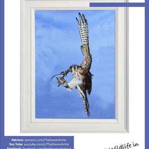 The first page of the downloadable lesson with the Kestrel painting in a white frame, and a list of Paul's online channels.  YouTube, Patreon, Pinterest etc.