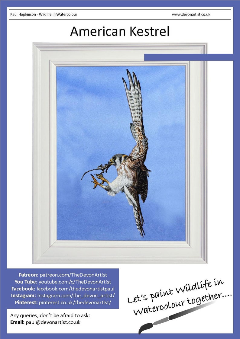 The first page of the downloadable lesson with the Kestrel painting in a white frame, and a list of Paul's online channels.  YouTube, Patreon, Pinterest etc.