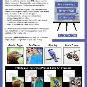 The last page of the lesson, which shows images of 4 other PDFs that can be bought.  A golden eagle, sea turtle, blue jay and pine cones.  There are also written details about the video lessons the artist also sells.