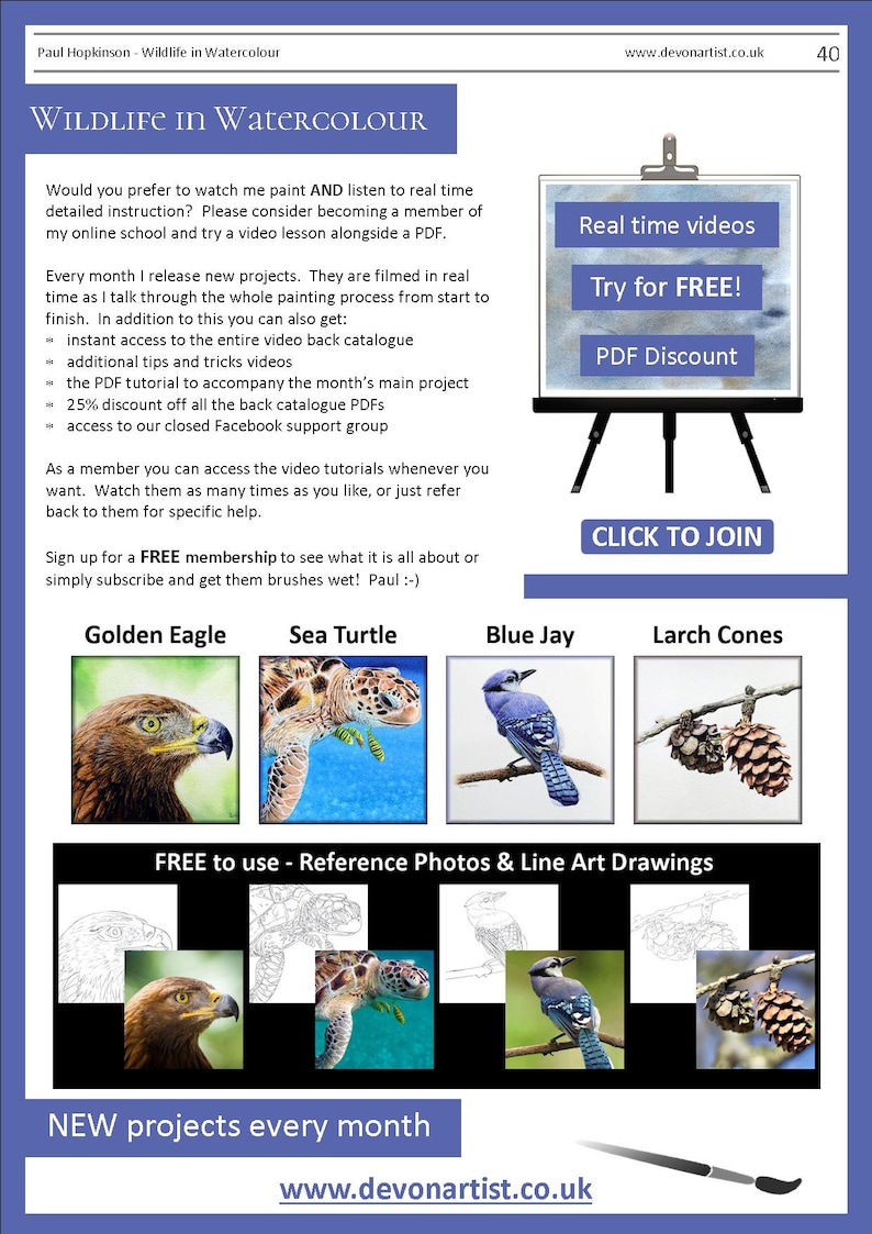 The last page of the lesson, which shows images of 4 other PDFs that can be bought.  A golden eagle, sea turtle, blue jay and pine cones.  There are also written details about the video lessons the artist also sells.