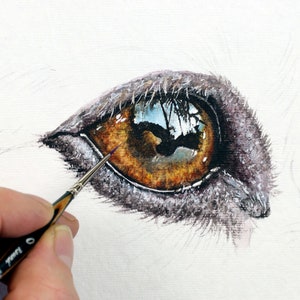 リアルな水彩画の目を描く方法を学ぶ、犬の目の水彩画の PDF レッスン、イラストアートワーク