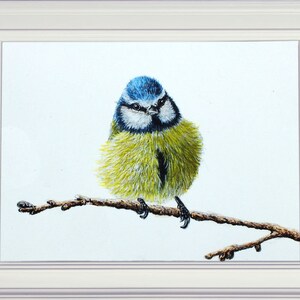 The finished blue tit painting in a white frame.  The bird is facing forward, it has a blue head, with white cheeks and dark lines around the cheeks.  The chest is yellow with a dark patch in the centre.  The bird is painted realistically.