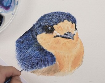 水彩画、イラスト、美術スタイルの水彩画でリアルな鳥を描く方法を学ぶ