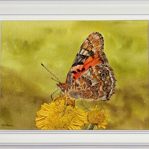 May include: A watercolor painting of a butterfly with orange, brown, and white wings perched on a yellow flower. The background is a soft green.