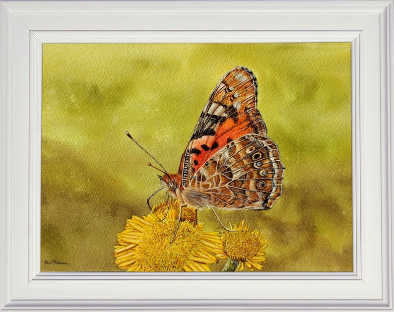 May include: A watercolor painting of a butterfly with orange, brown, and white wings perched on a yellow flower. The background is a soft green.