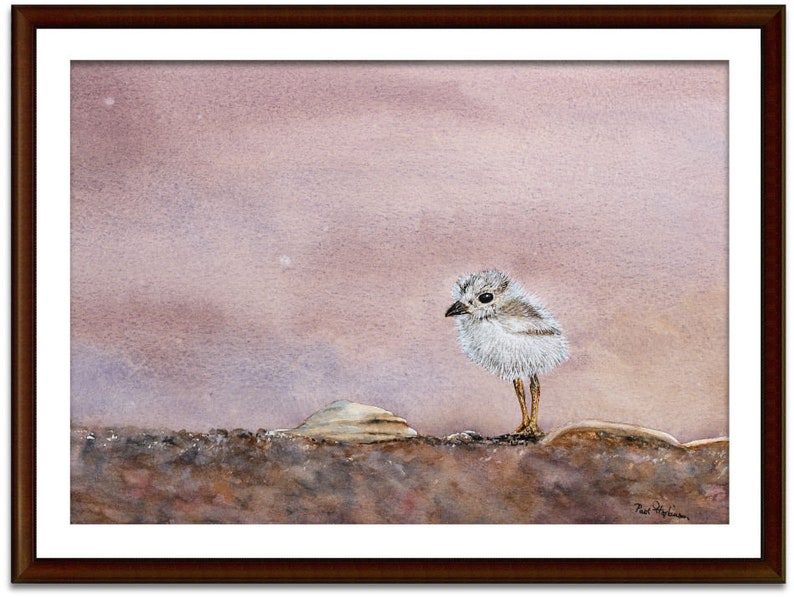 The small fluffy chick painting in a dark frame with a white mount.  This is landscape in form with the chick to the right of centre.