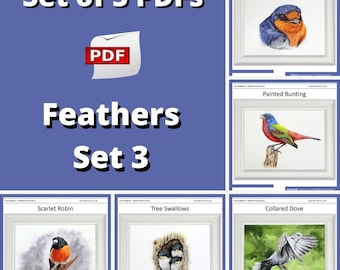 Realistische lessen aquarel schilderen, leren vogelillustraties schilderen in aquarel, gedetailleerde stapsgewijze handleidingen