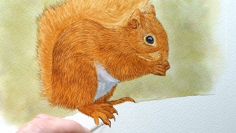 Paul has now applied a layer of fur to the body, this is looking quite flat at the moment, as he has not built the rich tones.  His brush is shown painting the foot of the animal.