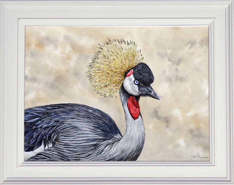 The crane painting in a white frame.  This is a large bird with a long neck.  It has a yellow crown, a black and white face with red patches above and below. its plumage is like that of an ostrich and is a steel blue grey colour.