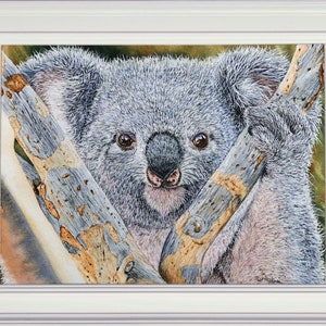 The finished Koala painting in a white frame.