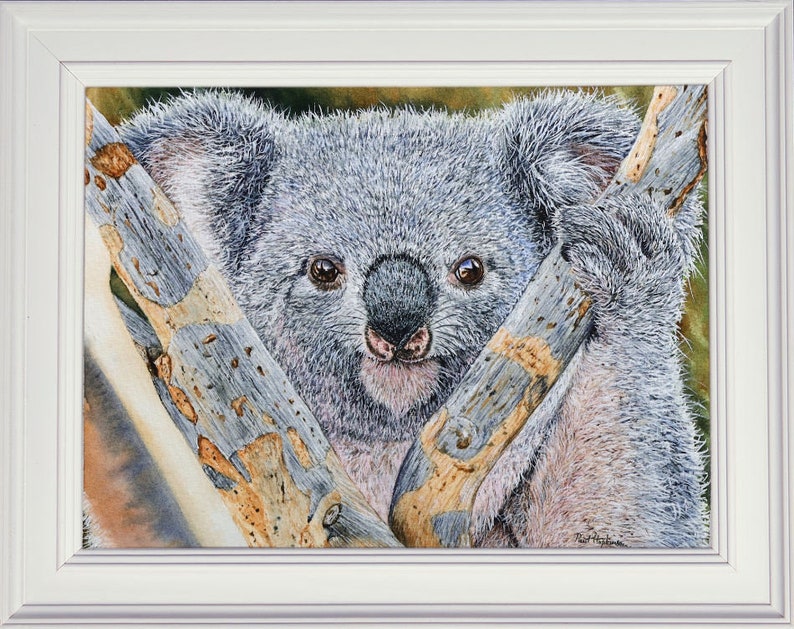 The finished Koala painting in a white frame.