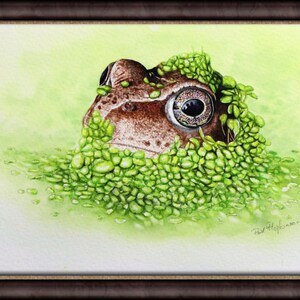 The frog painting in a dark brown frame and slightly zoomed in on the main subject.