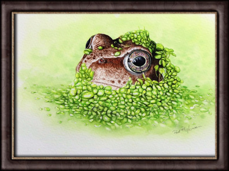 The frog painting in a dark brown frame and slightly zoomed in on the main subject.