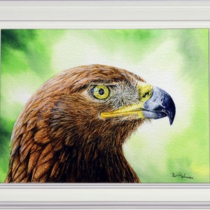 The finished eagle painting in a white frame.  This is a head study, with a bright yellow eye, large grey and yellow beak, and dark chocolate brown plumage.  It is set against an orange/ yellow background, which fades around the bird.