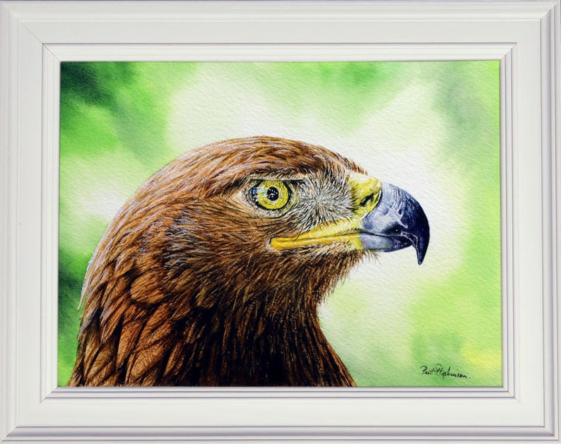 The finished eagle painting in a white frame.  This is a head study, with a bright yellow eye, large grey and yellow beak, and dark chocolate brown plumage.  It is set against an orange/ yellow background, which fades around the bird.