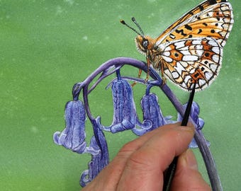 ORIGINAL Fritillary Butterfly Painting, Realistic Watercolour (Illustration Style Artwork)