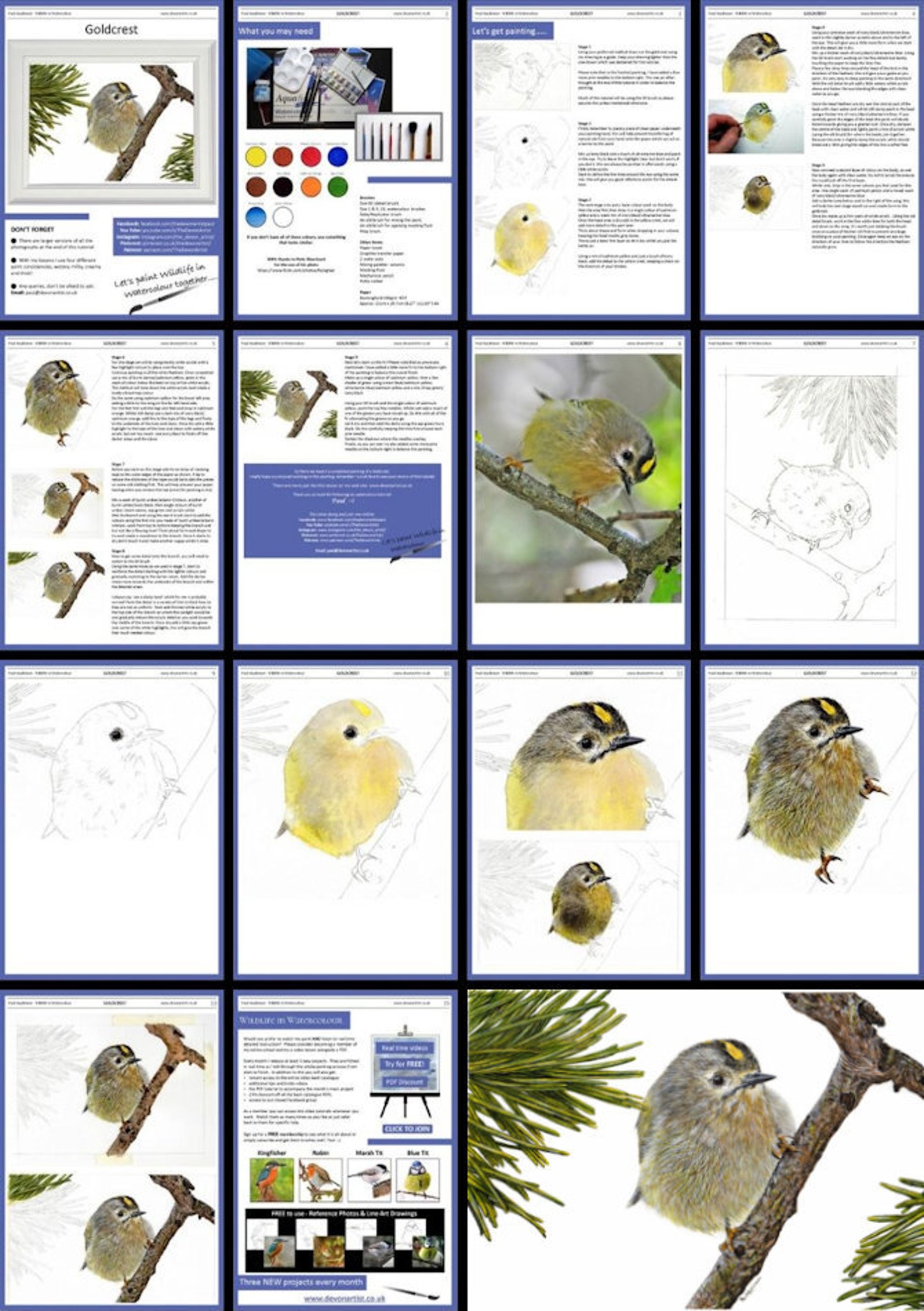 Learn to Paint Birds in Watercolour Step by Step PDF Etsy UK