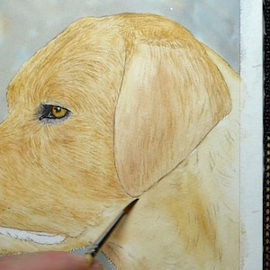 In this photo of Paul's painting the eye is complete and Paul is adding the wash on the face.  This is already starting to give the dog some shape and form.