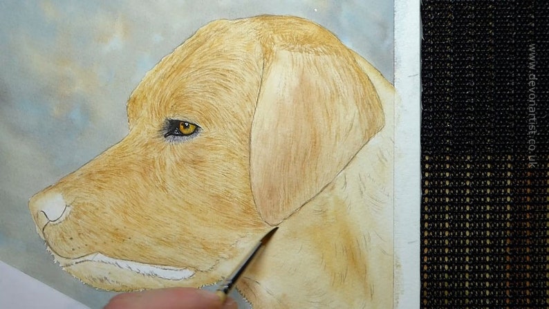 In this photo of Paul's painting the eye is complete and Paul is adding the wash on the face.  This is already starting to give the dog some shape and form.