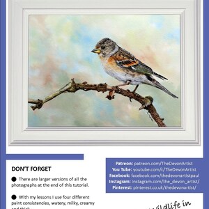 The first page of the Brambling PDF, which has the finished bird painting in a white frame at the top.  Below are links to Paul's online watercolour channels on Patreon, YouTube etc.