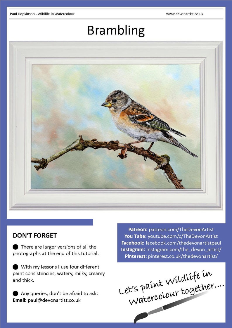 The first page of the Brambling PDF, which has the finished bird painting in a white frame at the top.  Below are links to Paul's online watercolour channels on Patreon, YouTube etc.