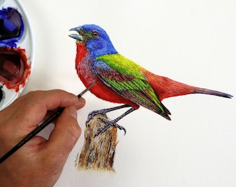 Tutorial de pintura de aves en acuarela: Arte realista de aves (Descarga PDF)