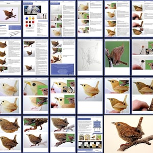 An overview image showing all the pages in the downloadable lesson.  The start of the tutorial has work in progress photos alongside written guidance.  The second half the photos of Paul's work full width size to follow.