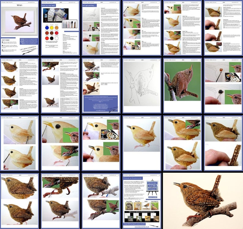 An overview image showing all the pages in the downloadable lesson.  The start of the tutorial has work in progress photos alongside written guidance.  The second half the photos of Paul's work full width size to follow.