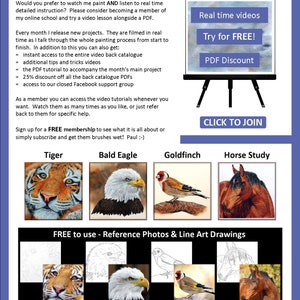 The last page of the document illustrates other tutorials that are available from the Etsy shop.  These include a tiger's face, a bald eagle, a goldfinch bird and a study of a horse.