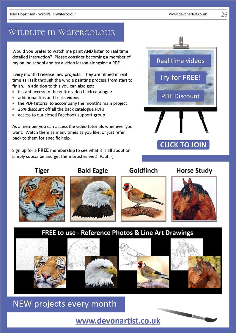 The last page of the document illustrates other tutorials that are available from the Etsy shop.  These include a tiger's face, a bald eagle, a goldfinch bird and a study of a horse.
