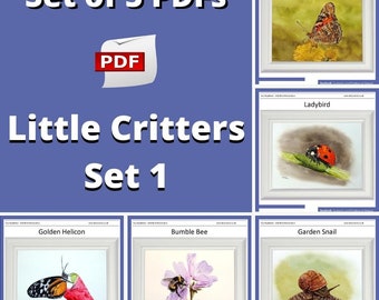 Learn to Paint Butterflies and other Small Creatures, Realistic Watercolour Painting, Illustration Watercolor Art